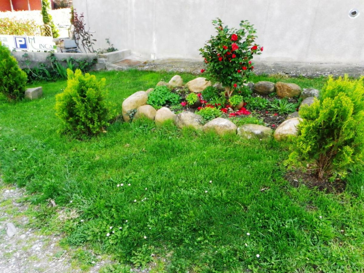 Casa Rural Sofia Ordesa Escalona エクステリア 写真